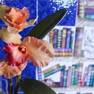 Casa Felice Rom